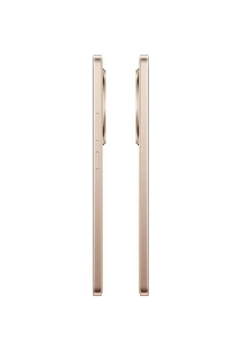 Смартфон Realme 13+ 5G 12/256GB (RMX5000) Victory Gold