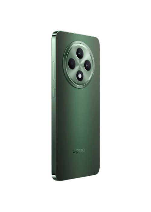 Смартфон Oppo Reno12 FS 5G 12/512GB Black Green (OFCPH2637_BLACK)