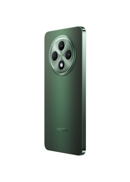 Смартфон Oppo Reno12 FS 5G 12/512GB Black Green (OFCPH2637_BLACK)