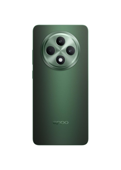 Смартфон Oppo Reno12 FS 5G 12/512GB Black Green (OFCPH2637_BLACK)