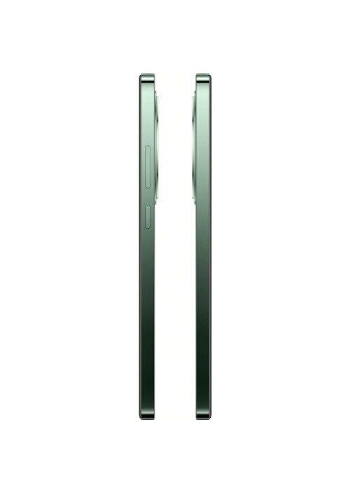 Смартфон Oppo Reno12 FS 5G 12/512GB Black Green (OFCPH2637_BLACK)