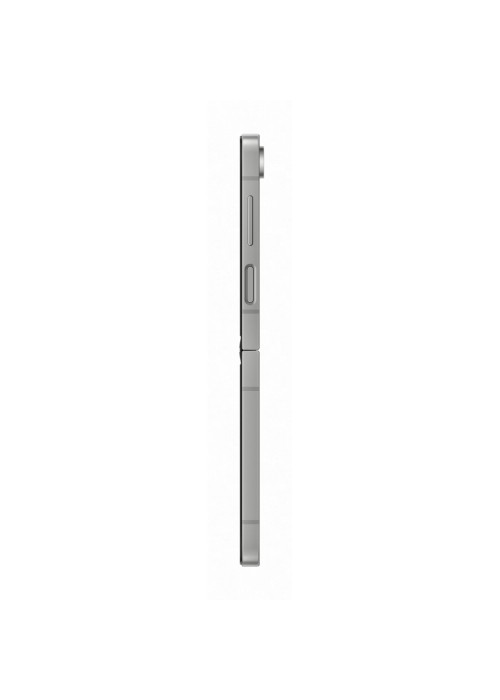 Смартфон Samsung Galaxy Flip6 12/256Gb Silver Shadow (SM-F741BZSGSEK)