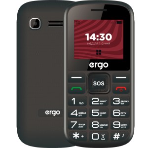 Смартфон Ergo R202 чорний